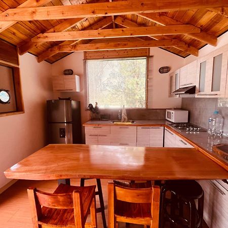Alma De Campo Glamping - Laguna De سويسكا المظهر الخارجي الصورة