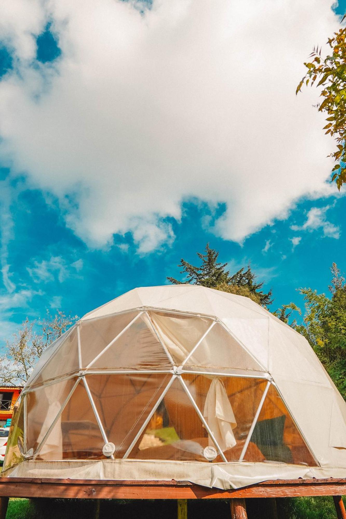 Alma De Campo Glamping - Laguna De سويسكا المظهر الخارجي الصورة