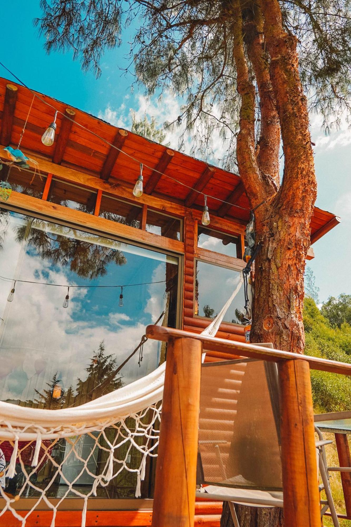 Alma De Campo Glamping - Laguna De سويسكا المظهر الخارجي الصورة